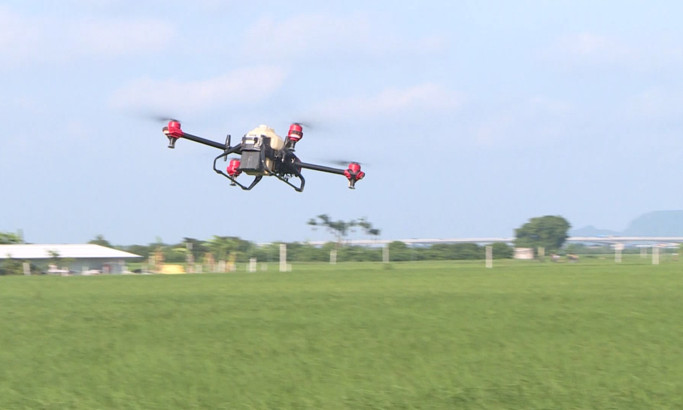 N&ocirc;ng th&ocirc;n mới Hải Ph&ograve;ng: Hải Ph&ograve;ng đẩy nhanh tiến độ x&acirc;y dựng n&ocirc;ng th&ocirc;n mới     