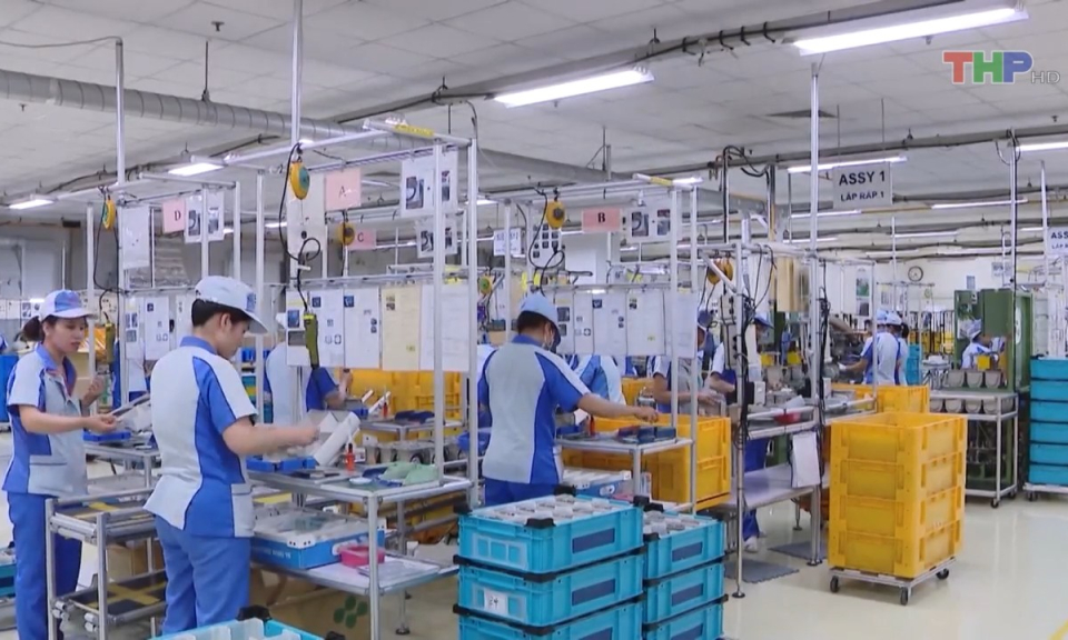 Bản tin Hải Ph&ograve;ng h&ocirc;m nay trưa (04/8/2023)