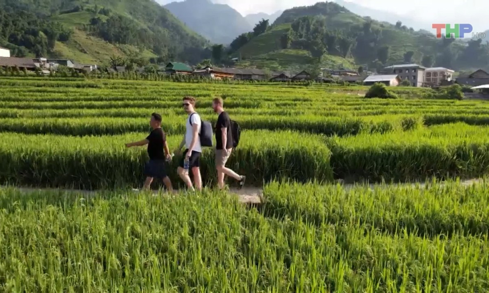 Bản tin Hải Ph&ograve;ng kết nối (05/8/2023)