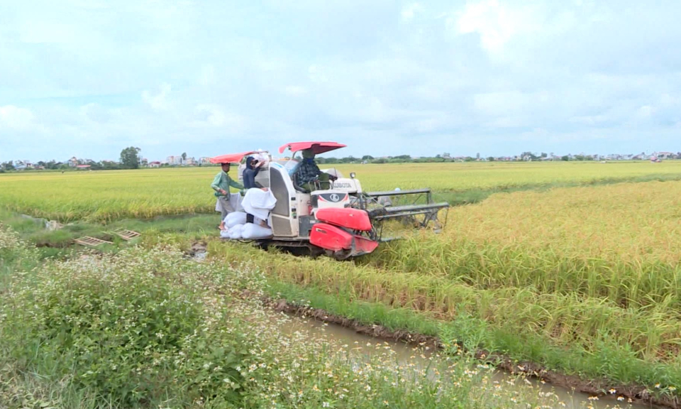 Bảo đảm an ninh lương thực quốc gia 