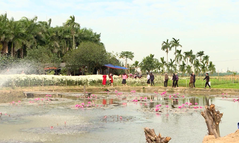 Hải Ph&ograve;ng: M&ocirc; h&igrave;nh du lịch sinh th&aacute;i được triển khai hiệu quả