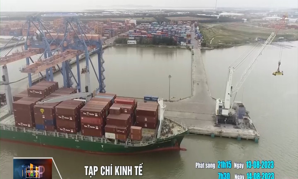 Giới thiệu những chương tr&igrave;nh đặc sắc tr&ecirc;n k&ecirc;nh THP