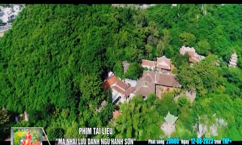 Giới thiệu những chương tr&igrave;nh đặc sắc tr&ecirc;n k&ecirc;nh THP+