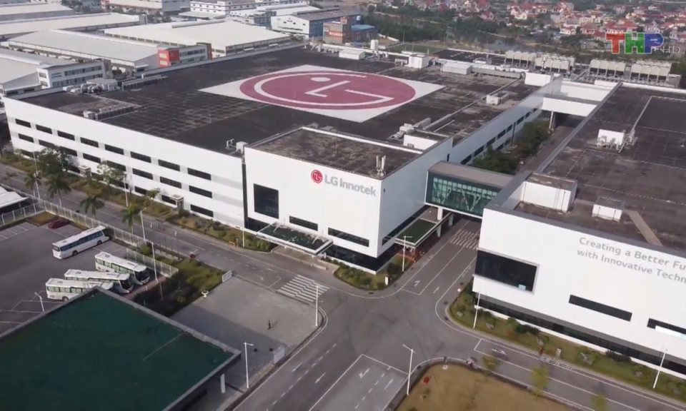 Bản tin tiếng Anh (08/8/2023)