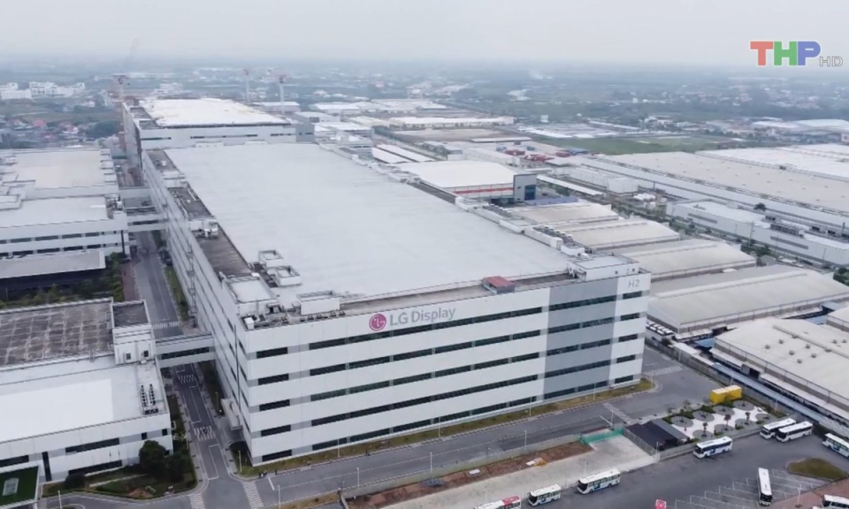 Bản tin thời sự s&aacute;ng (09/8/2023)