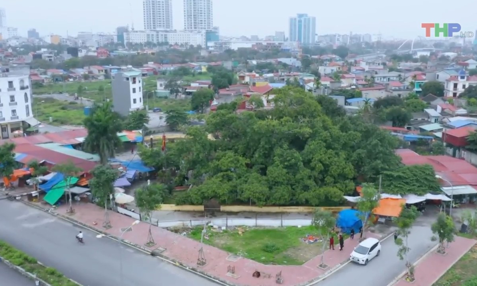 Bản tin thời sự s&aacute;ng (10/8/2023)