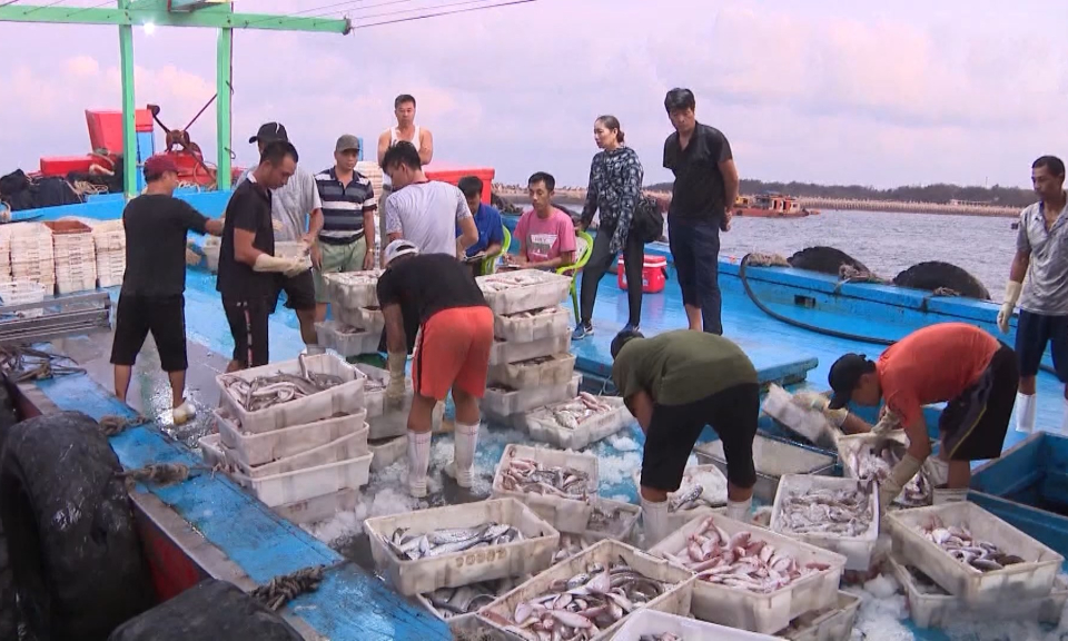 An ninh biển đảo: Nỗ lực th&aacute;o gỡ thẻ v&agrave;ng EC về khai th&aacute;c thủy sản bất hợp ph&aacute;p