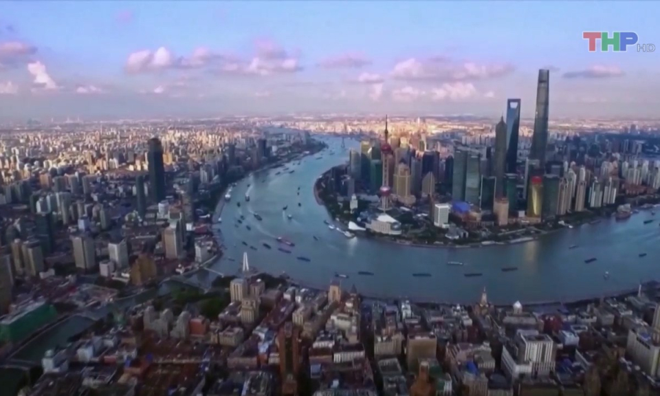 Bản tin thời sự quốc tế (10/8/2023)