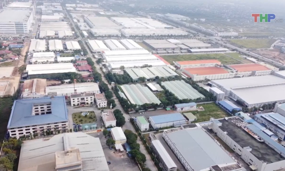 Bản tin Hải Ph&ograve;ng kết nối (10/8/2023)