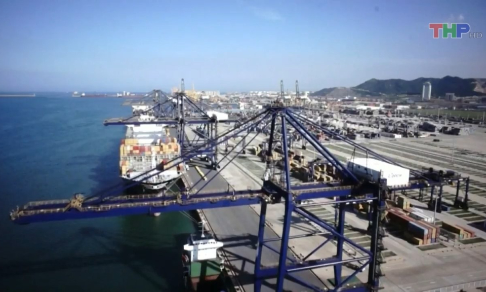 Bản tin thời sự quốc tế (12/8/2023)