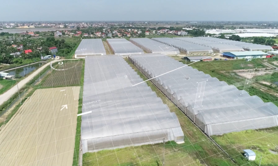 Kinh tế v&agrave; đ&ocirc; thị: Ứng dụng c&ocirc;ng nghệ, chuyển đổi số trong kinh tế tập thể   