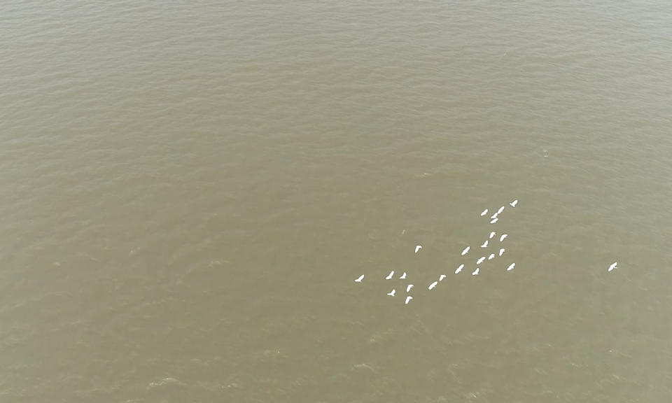 &Acirc;m vang miền cửa biển: Lời th&igrave; thầm của biển          