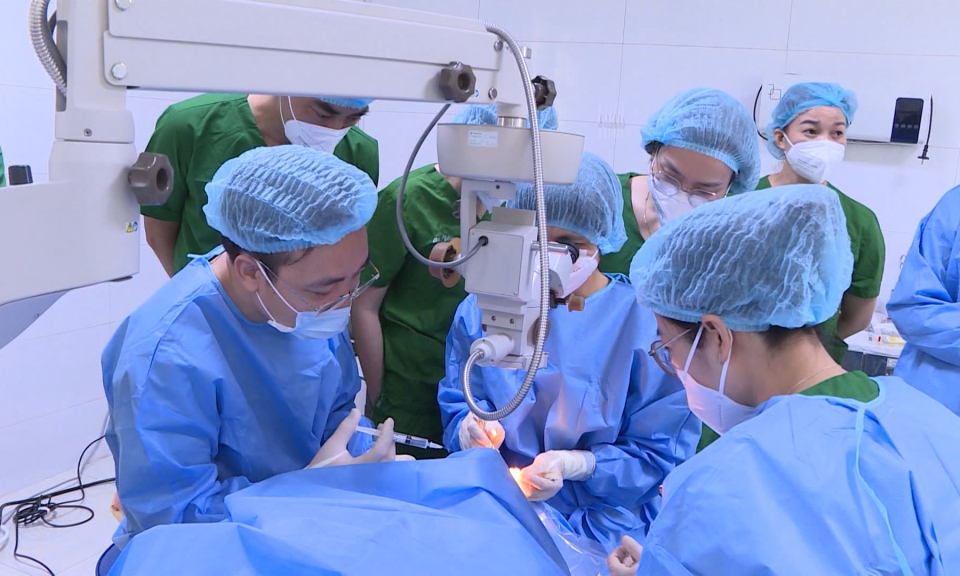 Việt Nam: Nhu cầu gh&eacute;p m&ocirc;, tạng rất lớn