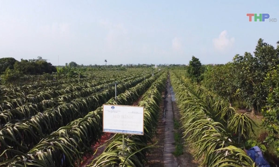 Bản tin thời sự s&aacute;ng (16/8/2023)