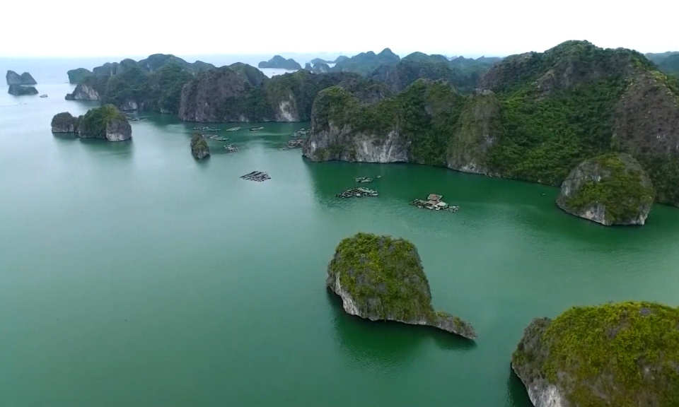 Quần đảo C&aacute;t B&agrave; tr&ecirc;n lộ tr&igrave;nh trở th&agrave;nh Di sản thế giới