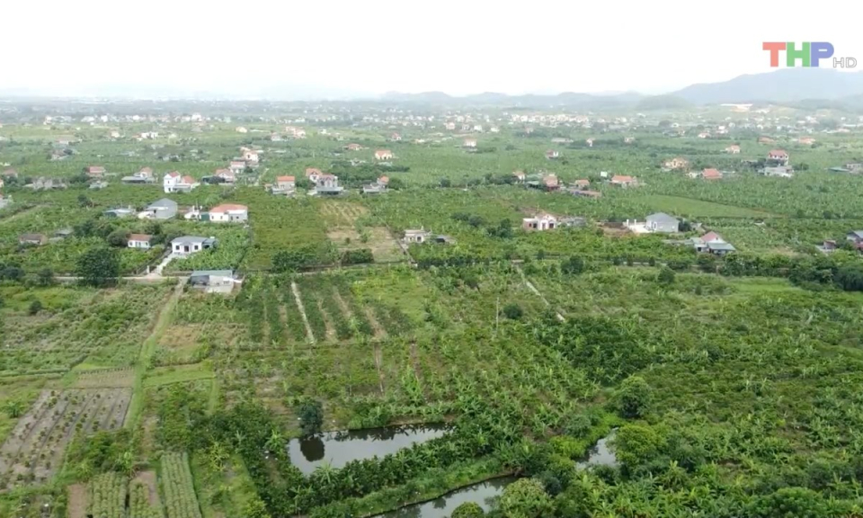 Bản tin Hải Ph&ograve;ng kết nối (16/8/2023)