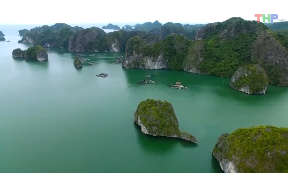 Bản tin tiếng Anh (16/8/2023)