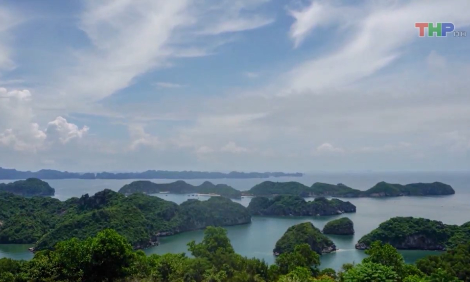 Bản tin tiếng Trung (16/8/2023)