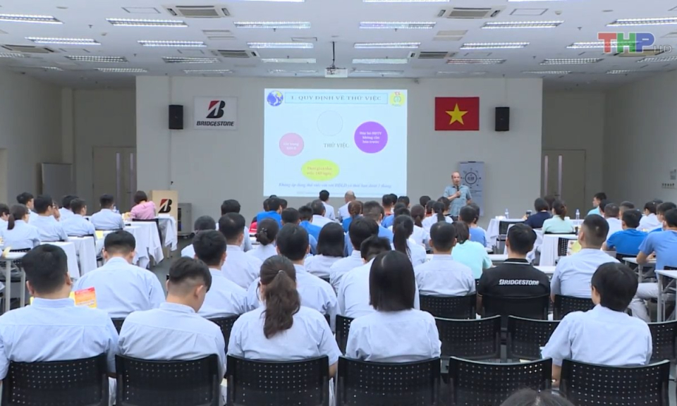 Bản tin thời sự tối (16/8/2023)