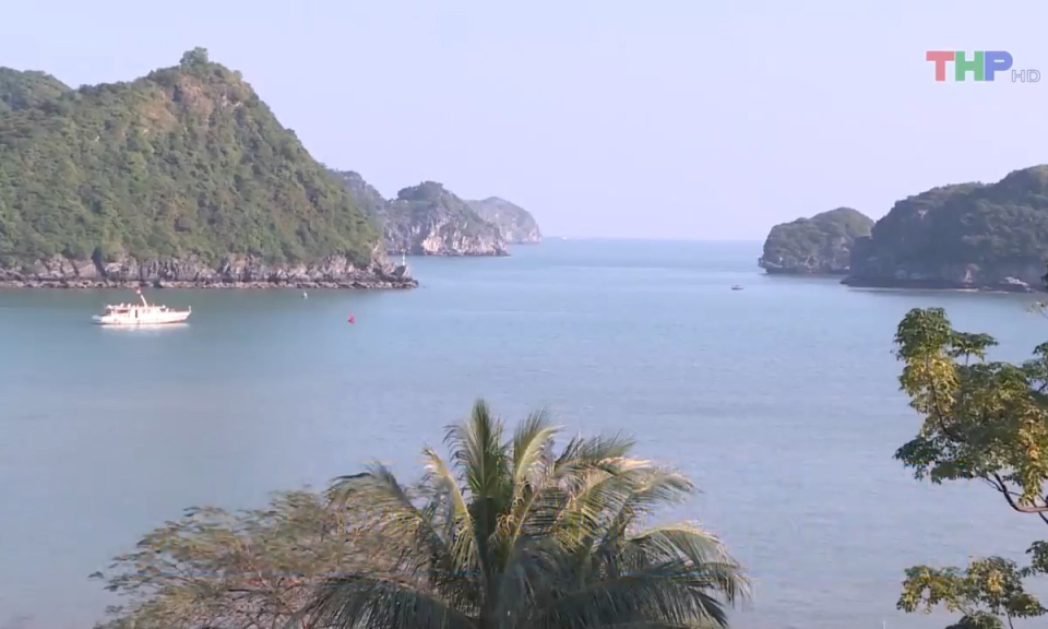 Bản tin Hải Ph&ograve;ng h&ocirc;m nay trưa (19/8/2023)