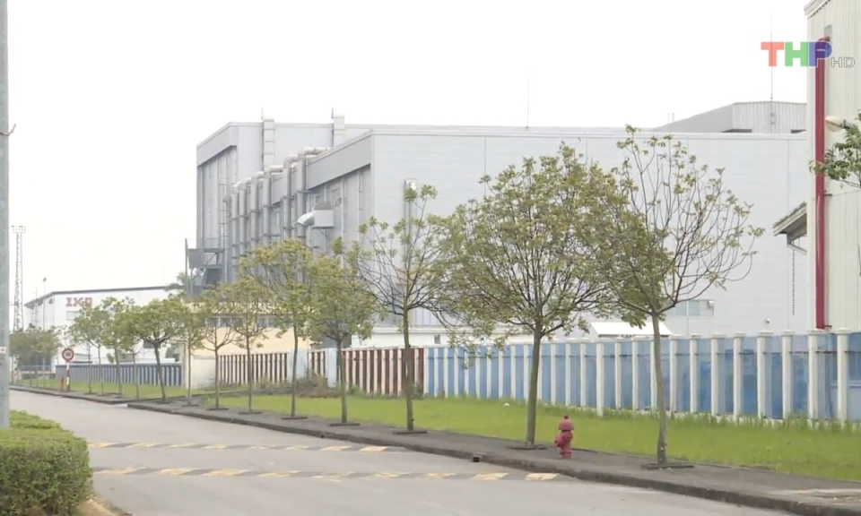 Bản tin thời sự trưa (23/8/2023)