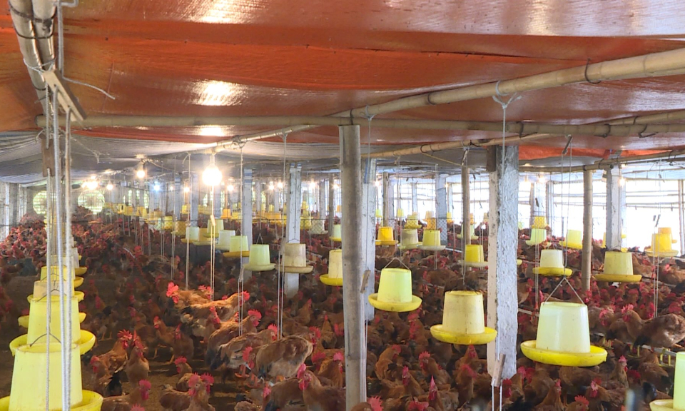 Tuổi trẻ Hải Ph&ograve;ng: Hỗ trợ thanh ni&ecirc;n vay vốn để khởi nghiệp, ph&aacute;t triển kinh tế