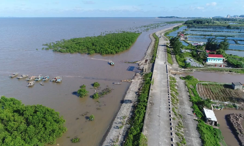 N&ocirc;ng th&ocirc;n mới Hải Ph&ograve;ng: Xử l&yacute; vi phạm h&agrave;nh lang đ&ecirc; điều