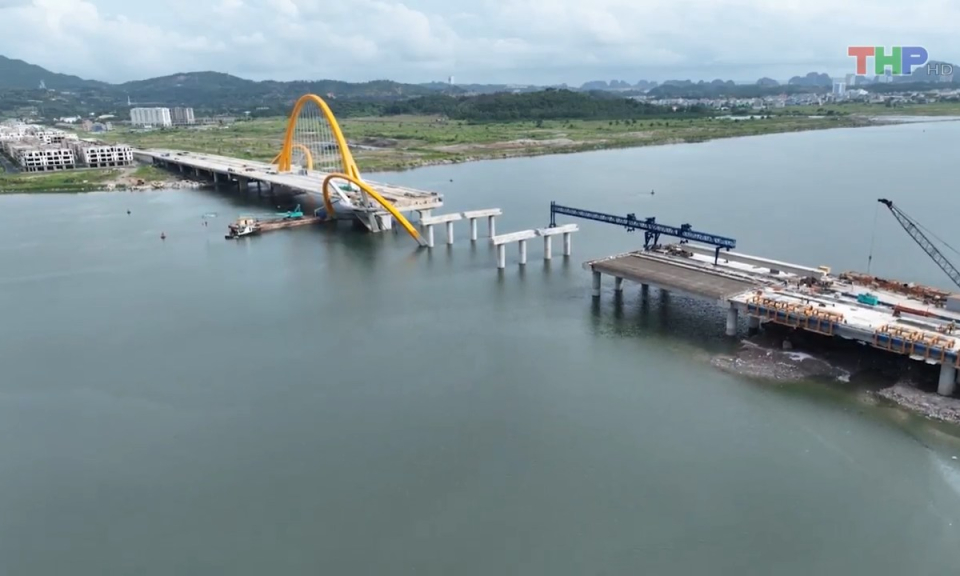 Bản tin Hải Ph&ograve;ng kết nối (24/8/2023)