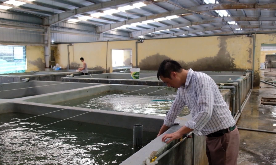 Ứng dụng khoa học c&ocirc;ng nghệ trong ph&aacute;t triển kinh tế biển