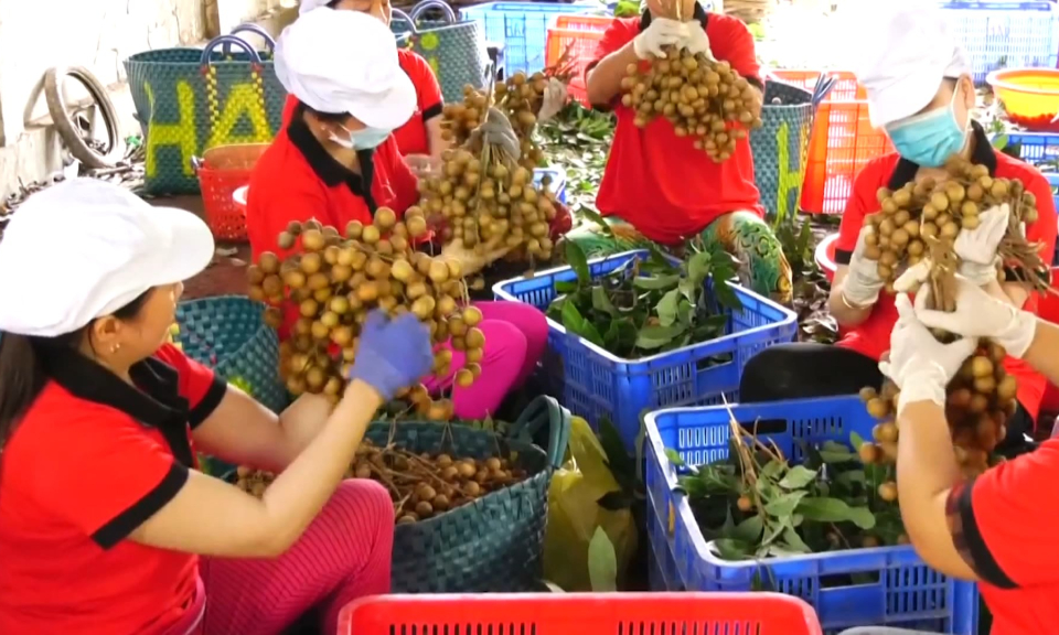 Ng&agrave;nh n&ocirc;ng nghiệp thu về hơn 33 tỷ USD sau 8 th&aacute;ng