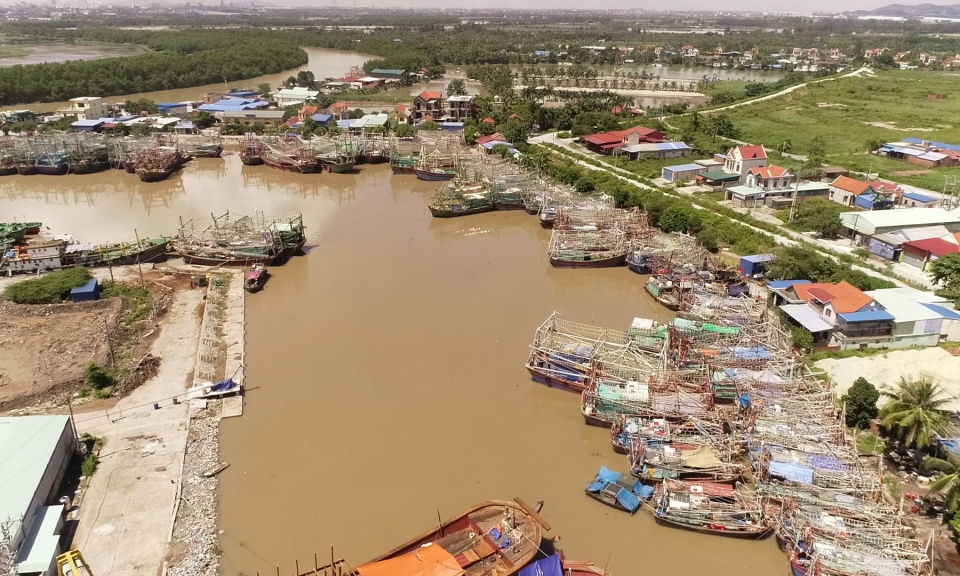 Kinh tế v&agrave; đ&ocirc; thị: Quyết liệt c&aacute;c giải ph&aacute;p khắc phục thẻ v&agrave;ng của EC trong khai th&aacute;c hải sản