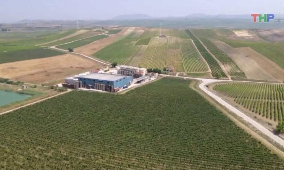 Bản tin thời sự quốc tế (27/8/2023)