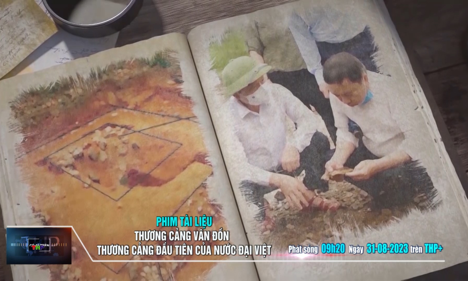 Giới thiệu những chương tr&igrave;nh đặc sắc tr&ecirc;n k&ecirc;nh THP+