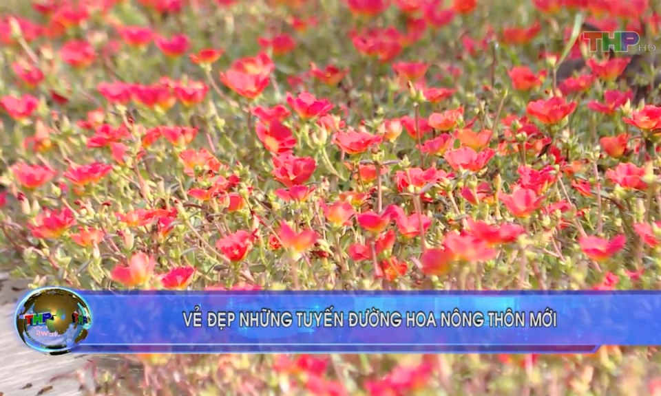 Bản tin thời sự trưa (30/8/2023)