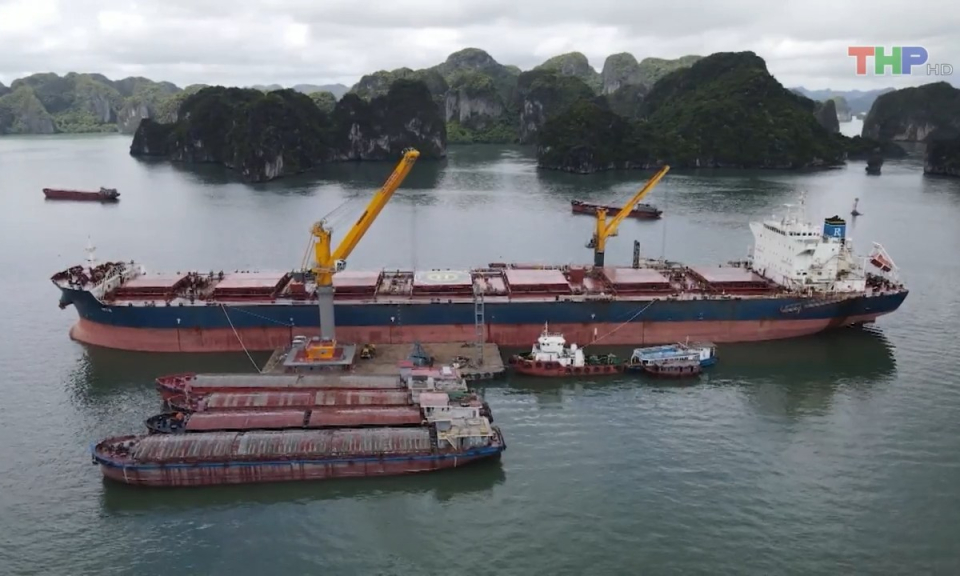 Bản tin Hải Ph&ograve;ng kết nối (31/8/2023)