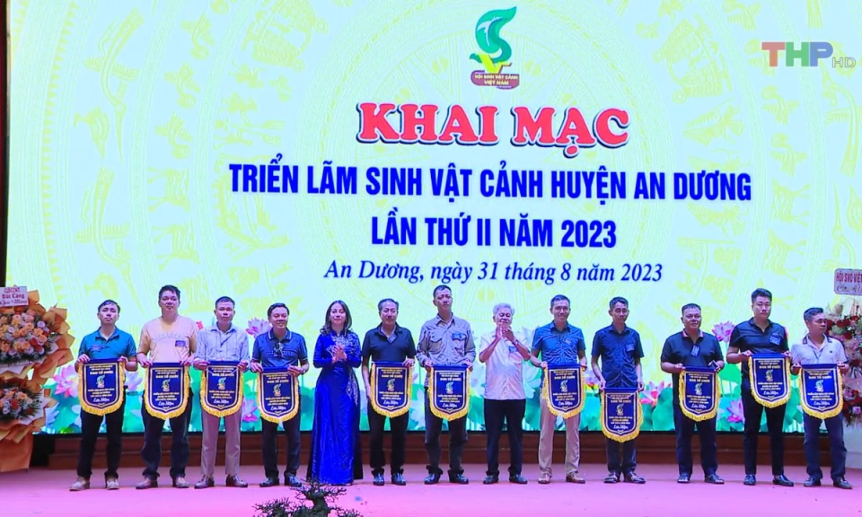 10 ph&uacute;t v&agrave;ng (01/9/2023)