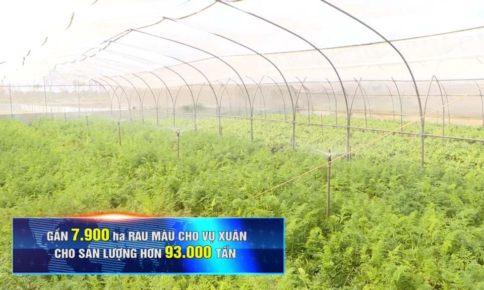 Ng&agrave;nh n&ocirc;ng nghiệp phấn đấu đạt gi&aacute; trị gần 16.000 tỷ đồng trong năm 2023