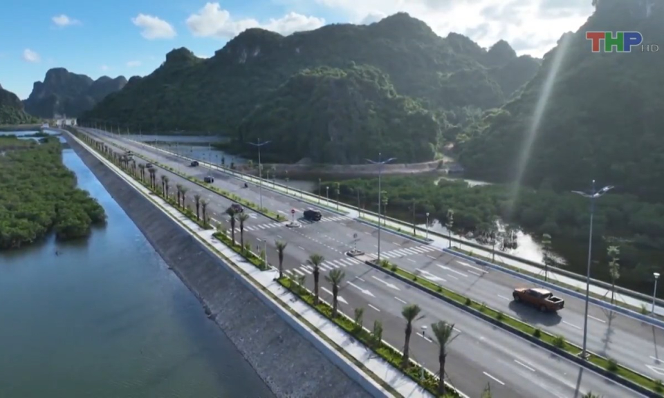 Bản tin Hải Ph&ograve;ng kết nối (03/09/2023)