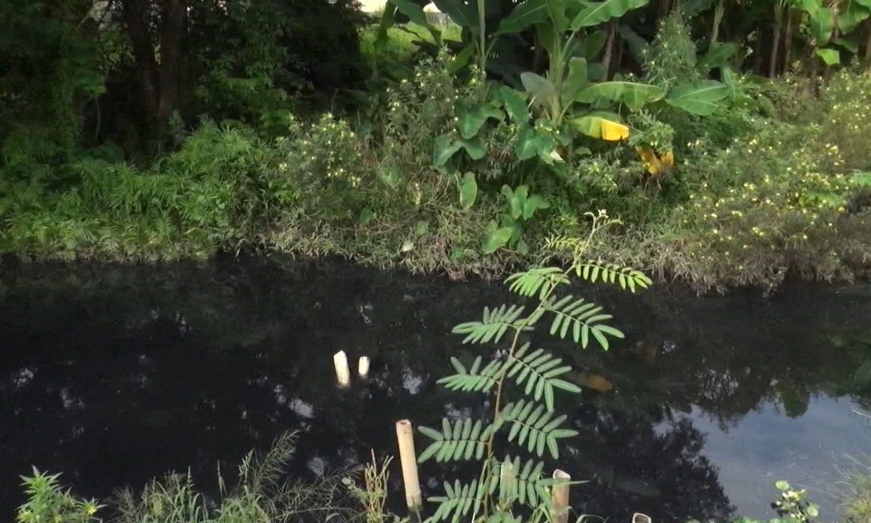 &Ocirc; nhiễm hệ thống k&ecirc;nh tưới ở huyện An Dương