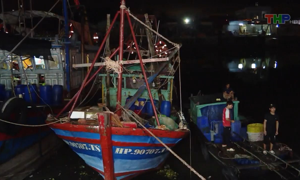 Bản tin Hải Ph&ograve;ng kết nối (05/9/2023)