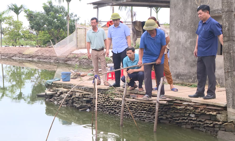 N&ocirc;ng th&ocirc;n mới Hải Ph&ograve;ng: N&acirc;ng cao thu nhập từ nguồn vốn Quỹ hỗ trợ n&ocirc;ng d&acirc;n