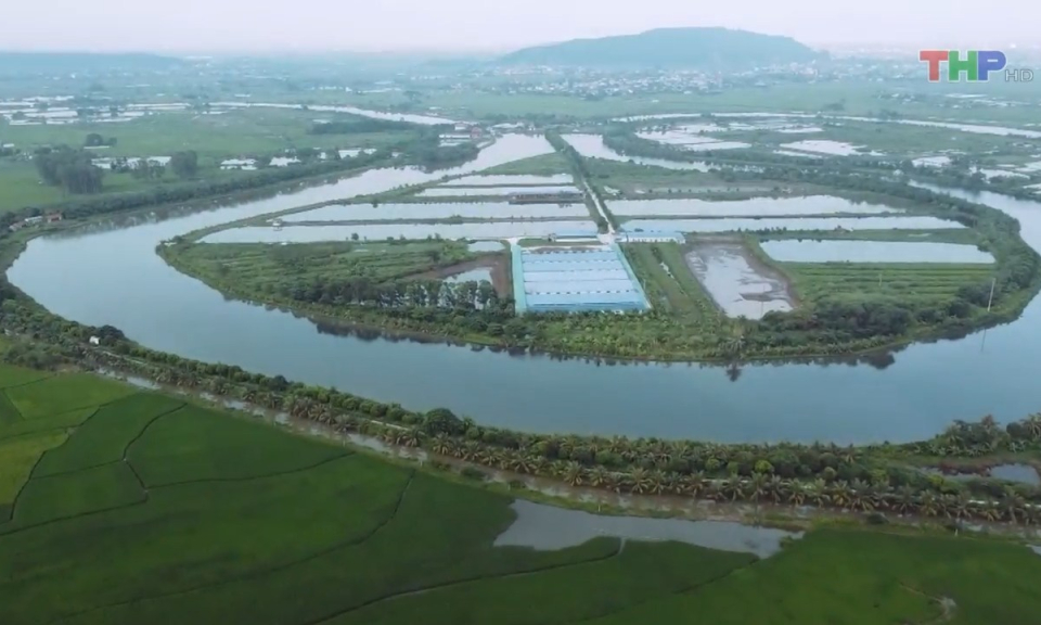 Bản tin thời sự s&aacute;ng (08/9/2023)