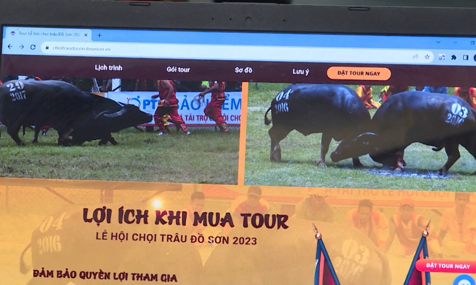 Điểm mới trong lễ hội chọi tr&acirc;u truyền thống Đồ Sơn 2023