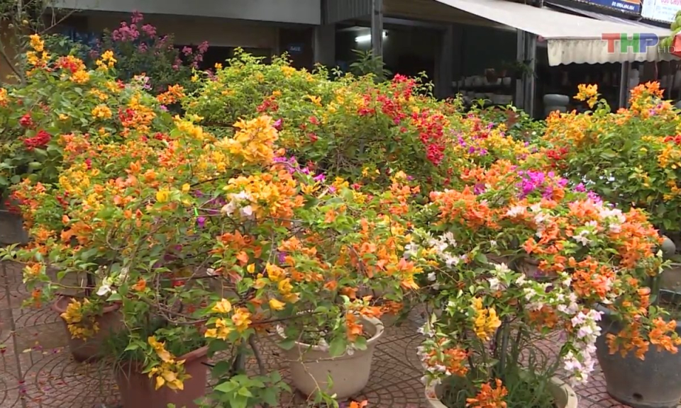 Bản tin Hải Ph&ograve;ng kết nối (09/9/2023)