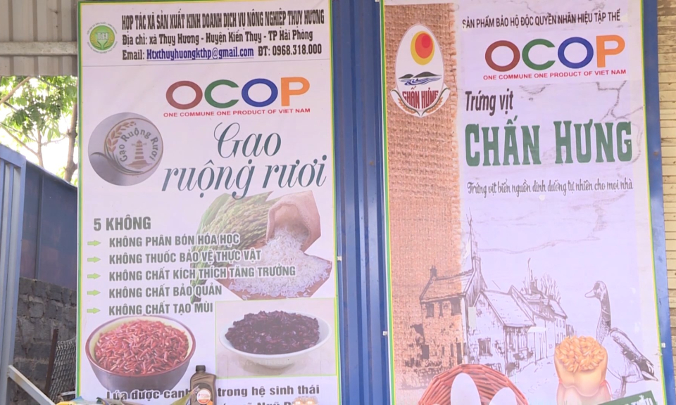 Điểm nhấn 365: Cơ hội v&agrave; th&aacute;ch thức trong việc thực hiện chương tr&igrave;nh OCOP tại huyện Kiến Thụy