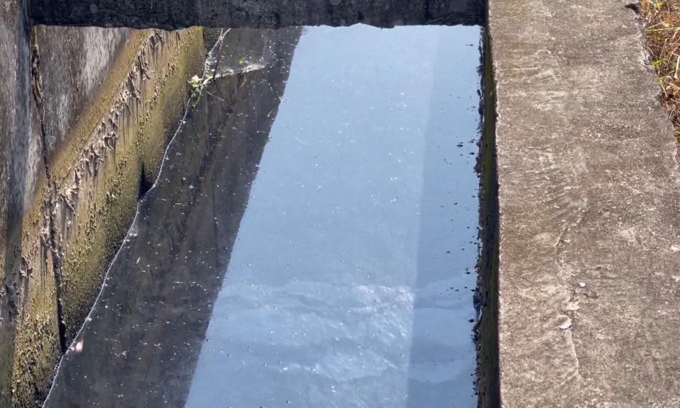 &Ocirc; nhiễm nguồn nước phục vụ sản xuất n&ocirc;ng nghiệp