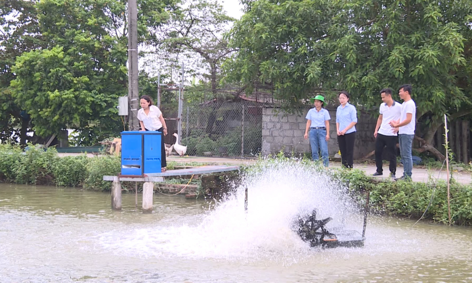 N&ocirc;ng th&ocirc;n mới Hải Ph&ograve;ng: Ph&aacute;t triển n&ocirc;ng nghiệp bền vững &ndash; Đ&ograve;n bẩy từ ứng dụng khoa học kỹ thuật     