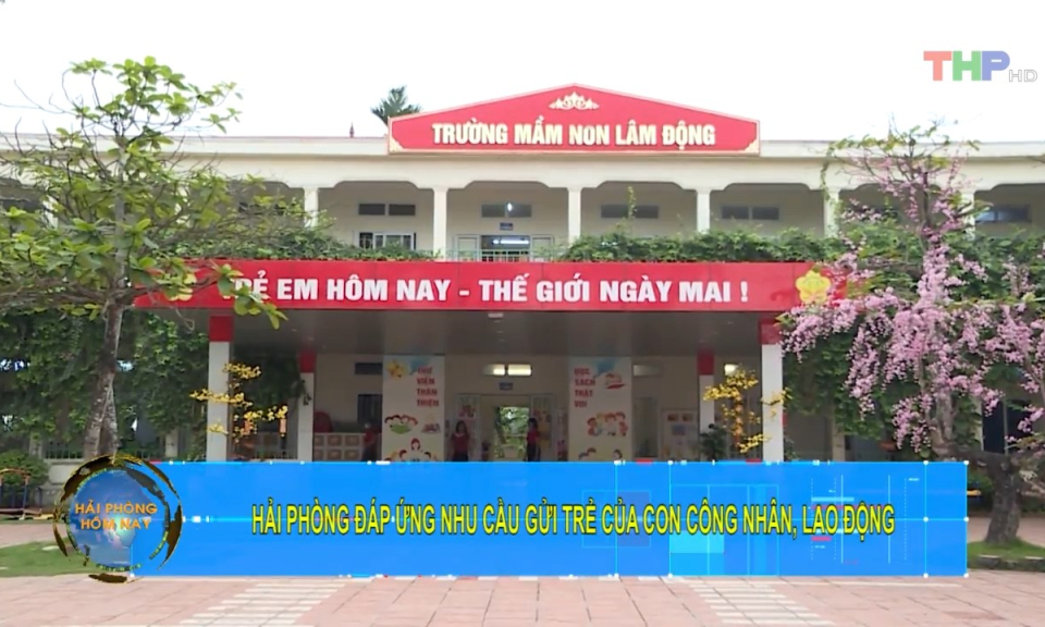 Bản tin Hải Ph&ograve;ng h&ocirc;m nay trưa (15/9/2023)