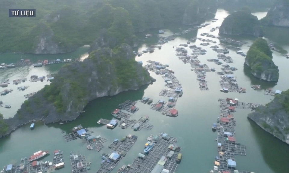 Cơ hội ph&aacute;t triển du lịch huyện đảo C&aacute;t Hải 