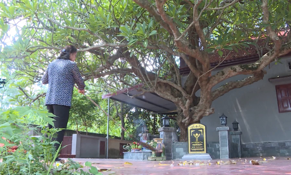 C&acirc;y đại cổ thụ hơn 400 năm tuổi tại Hải Ph&ograve;ng